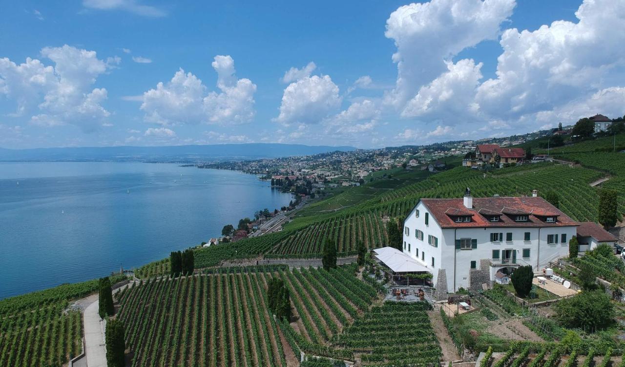 Domaine De La Crausaz Grandvaux Exteriör bild