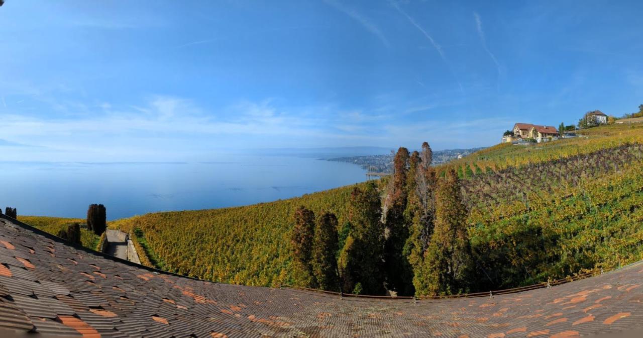 Domaine De La Crausaz Grandvaux Exteriör bild
